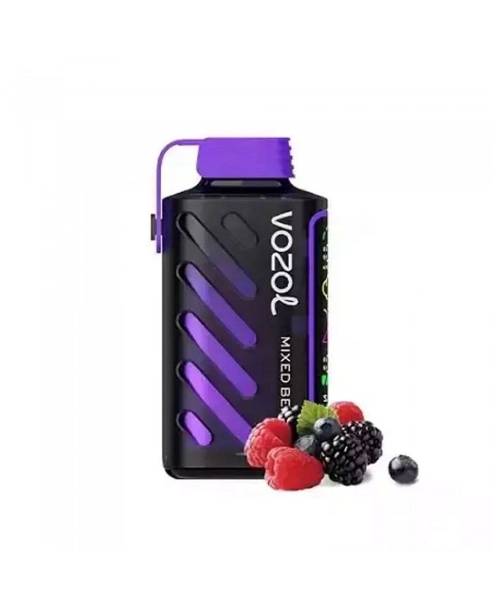 Vozol Gear Power 20000 Mixed Berries