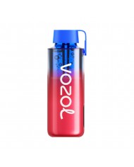 Vozol Neon 10000 Strawberry Watermelon